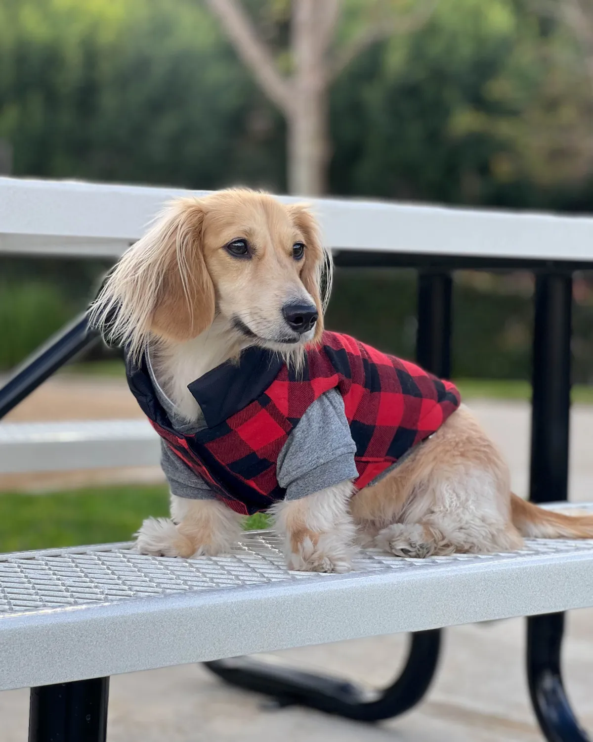 Reversible Puffer Dog Coat