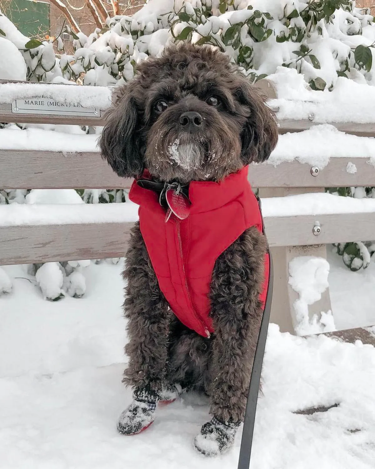 Reversible Puffer Dog Coat