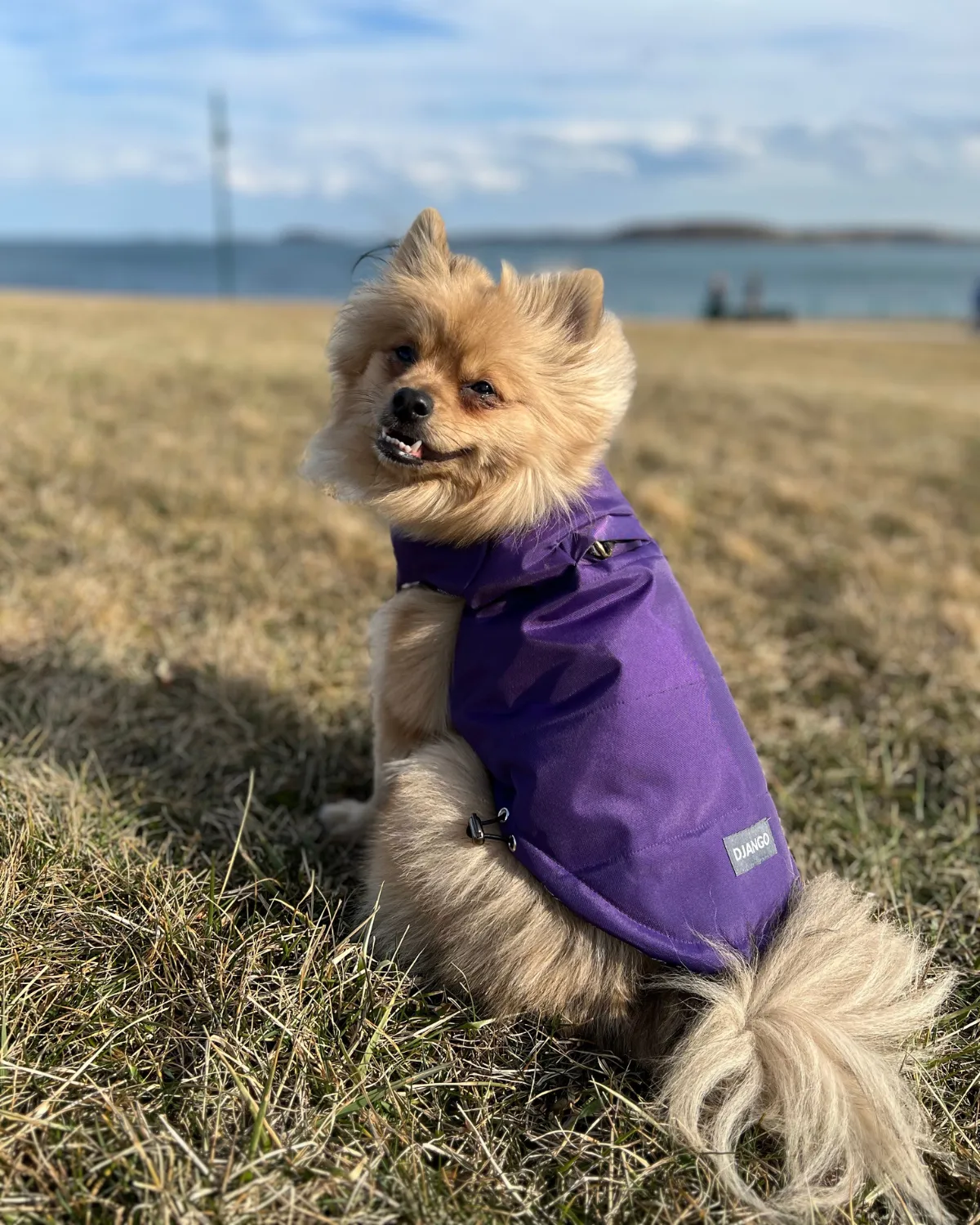 Reversible Puffer Dog Coat