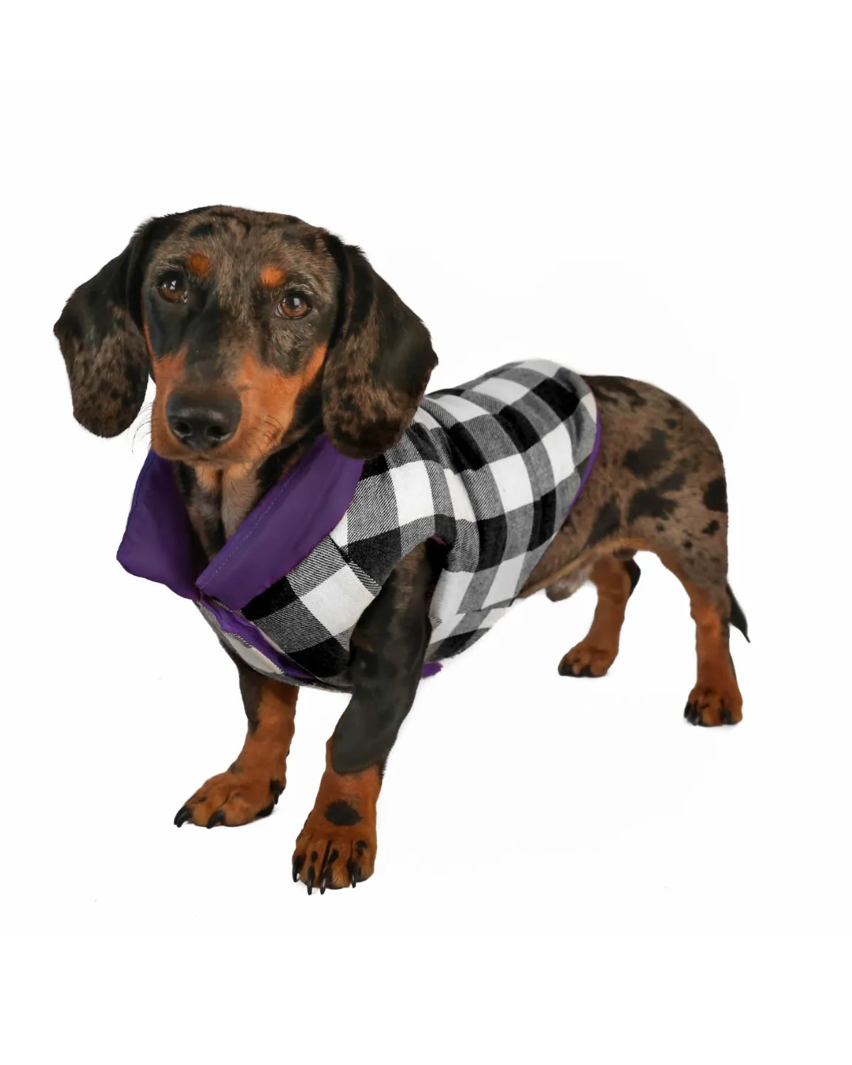 Reversible Puffer Dog Coat