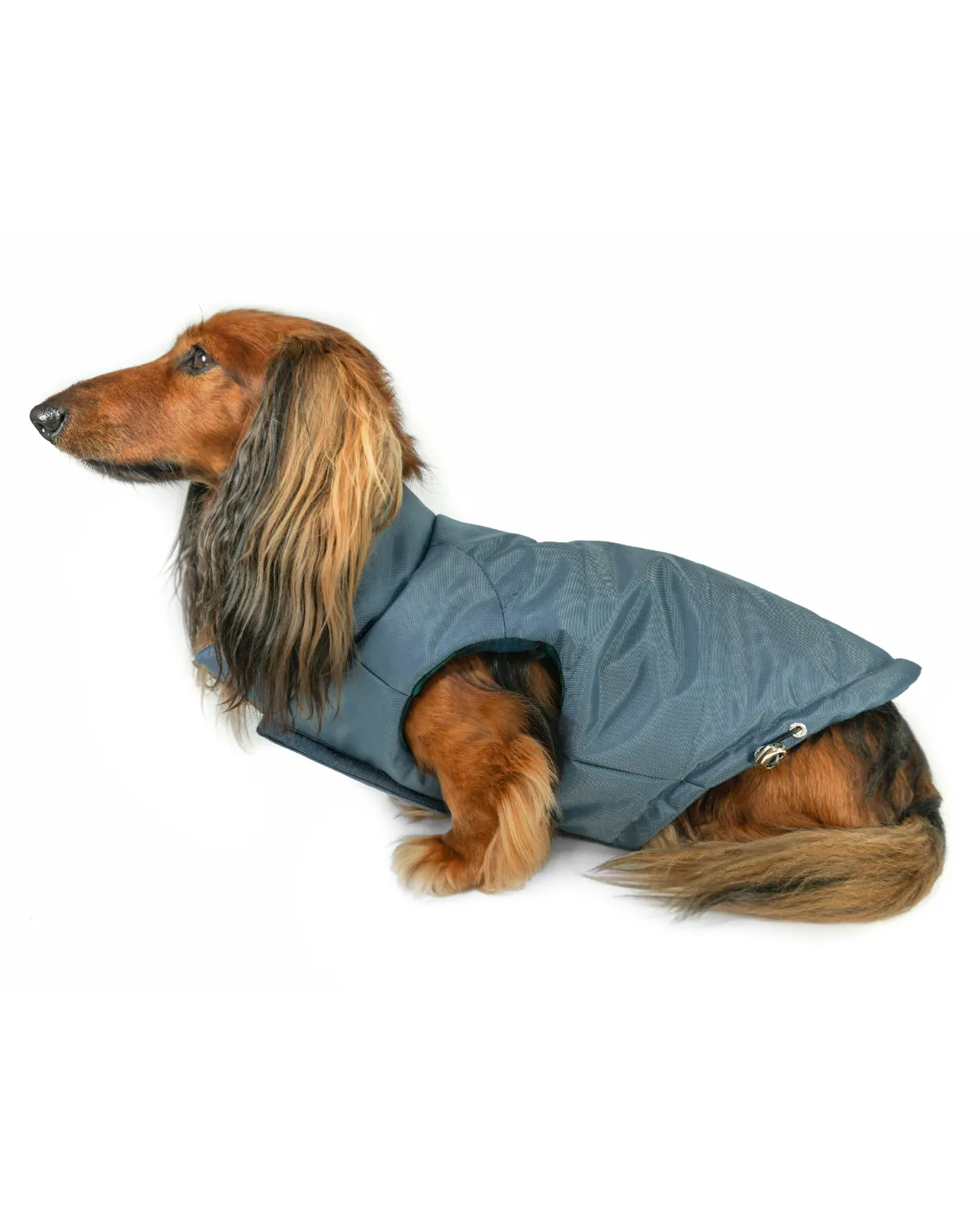 Reversible Puffer Dog Coat